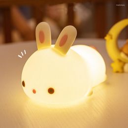 Night Lights Colorful LED Light With Remote Control Silicone Bedside Table Lamp USB Rechargeable For Kids Room