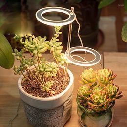 Grow Lights LED Light Full Spectrum Phyto Lamp USB Phytolamp For Veg Plants 5V Growth Lighting Indoor Plant