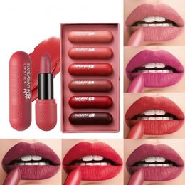 Handaiyan long last matte lipstick 6 Colors Set Recorder Shape Mouse Lipsticks Velvet Matt Finish Moisturizer Nutritious Luxury Makeup Lip Stick