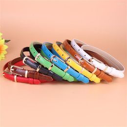 Belts The All-in-one Small Fashion Decoration Trend Candy-colored Pin Buckle Belt For Women K605