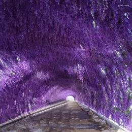 Decorative Flowers Home Decor Artificial Wisteria Flower Simulation Wedding Decoration Indoor Vine Ornaments Party Arch String