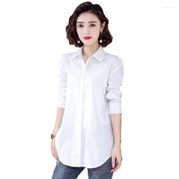 Women's Blouses Cotton Women Blue White Solid Colour Casual Shirts Female OL Long S846