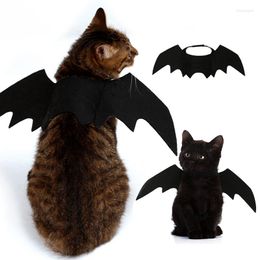 Cat Costumes Halloween Pet Bat Wings Accessories Costume Dog Clothes