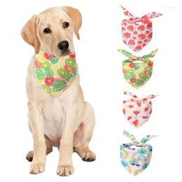 Dog Apparel Summer Fruit Tropical Style Bandanas Pets Bibs Scarf Cat Neck Pet Accessories Drop Ship