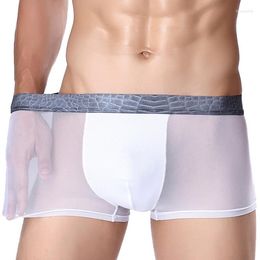 Underpants L-3XL High Elastic Ice Silk Transparent Gauze Breathable Boxer Shorts Underwear Gay Sexy U Convex Solid Boxers Male Panties WS05