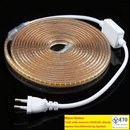 220V led strip flexible light warm whitewhiteBlue Power plug 120ledsm waterproof led Strips
