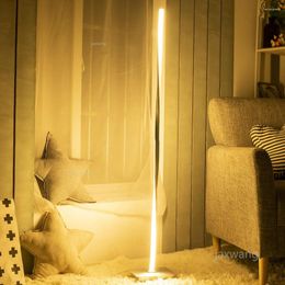 Floor Lamps Dimmable Led Lamp Modern Standing Art Decoration Nordic Style For Living Room Bedroom Study Light