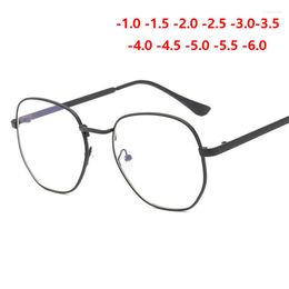 Sunglasses Frames Retro Metal Big Frame Polygon Myopia Glasses With Degree Women Men Student Nearsighted Eyewear Diopter -1 -1.5 -2.0 -2.5