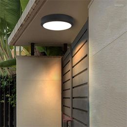 Ceiling Lights 18W LED Round Modern Simple Atmosphere Lamp Living Room Bedroom Balcony Patio Porch Light Fixture