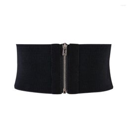 Belts Women Belt Trend Elastic Fashion Versatile Black Brown Autumn And Winter Korean Waist Wide Cover Zipper 11.5CM