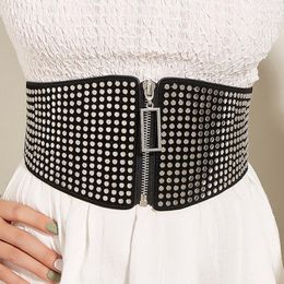 Belts 2023 Wide Elastic Studded Belt Female Waist Goth Stretch Cummerbunds Ladies Long For Women Corset Waistband