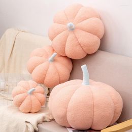 Pillow DUNXDECO Soft Pink Pumkin Cozy Teddy Fleece Decorative Love Present Kawaii Holiday Warm Room Sofa Chair Bed Decor
