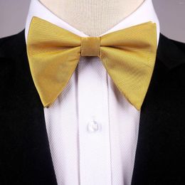 Bow Ties Fashion Apparel Accessories Christmas Novelty Horn Silk-like Satin Adult Men Boys Tie Solid Pattern Type Neck