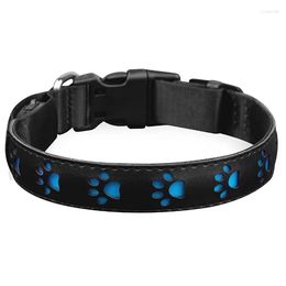 Dog Collars A63I LED Light Collar For Dogs Rechargeable Luminous 7 Colour Changing