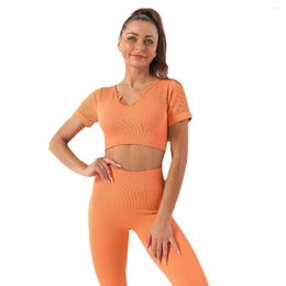 Active Sets Super Bling Seamless Yoga Set Workout Gym Women Short Sleeve Crop Top High Waist Leggings Sports Factory Wholesale