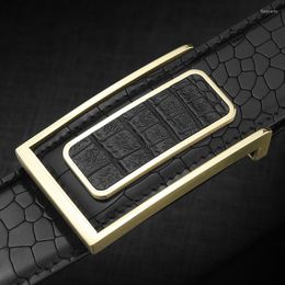 Belts High Quality Buckle Belt Men Designer Genuine Leather 3.8cm Wide Cowskin Waistband Fashion Crocodile Grain