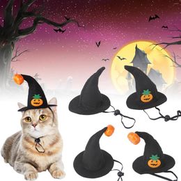 Dog Apparel Funny Hat Pumpkin Printed Cat Hats Halloween Cstume Props Pet Cap Head Cover