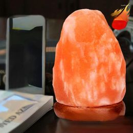 Night Lights Himalayan Crystal Salt Lamp USB Natural Formation Colorful Warm White LED Mineral Bedroom Bedside Decor Light