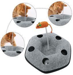 Pet Toy 2 en 1 Kitten Feather Toya Funny Toys Ball Ball Track Rotating Puzzle Cat Toy Treing Traing Moving Box8387584