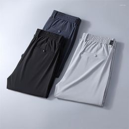 Men's Suits Men's Trousers Pants Ice Silk Bussiness Summer Long Wear Gentleman Suit Male Man Plus Size 2022