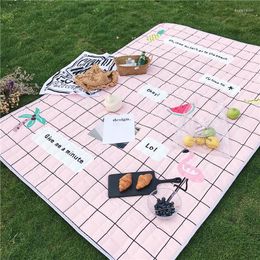 Carpets Pink Plaid Print Pattern Beach Dating Picnic Mat Polyester Comfortable Soft Moisture Wearable Non-Slip