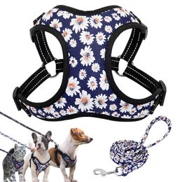 Dog Collars Leashes Nylon Dog Harness No Pull Pet Harnesses and Leash Set Dog Puppy Harness Vest Leash for Small Dogs Chihuahua French Bulldog T221212