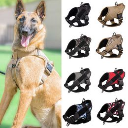 Dog Collars Leashes Pet Dog Harness NO PULL Reflective Dog Collar Strap Breathable Adjustable Pet Vest Pasted Pet Name Outdoor Walking Collar Strap T221212