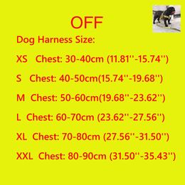 Dog Collars Leashes GALAXYDOG 3.5cm OFF And Harness Small Fashion Neon 1.5m Set Pet Wedding 2021 T221212
