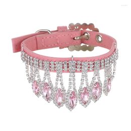 Dog Collars Bling Pet Rhinestones Collar With Cat Eye Jewellery Adjustable Puppy Necklace Mascotas Accessories For Small Medium Dogs Yorks