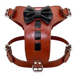 Dog Collars Leashes Genuine Leather Dog Harness Real Leather Dogs Training Vest With Cute Bowknot Adjustable Durable for Medium Large Pitbull T221212