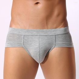 Underpants Men's Sexy Lingerie Thongs Underwear Soft Modal U-front Pouch Briefs Men Triangle