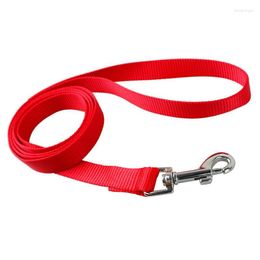 Dog Collars High Quality Solid Cat Walk The Collar Leash For Dogs Pet Leashes Leather Belt Durable Fastness Pets Cats Chains