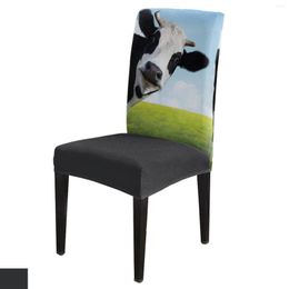 Chair Covers Grassland Sky Cows Spandex Cover Office Banquet Protector Stretch For Dining Room