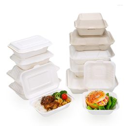 Bowls Eco-Friendly Biodegradable Sugarcane Bagasse Container Clamshell Box Tableware