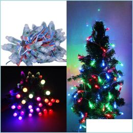 Led Modules 50Pcs/Lot Dc5V 12V Fl Colour Ws2811 Pixel Mode Smd Rgb Digital Light For Decoration Advertising Christmas Tree Lights Mod Dh94K