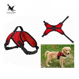 Dog Collars Leashes TAILUP 2018 New Breathable No Pull Mesh Dog Harness Adjustable Straps Around Neck Chest S-XL T221212