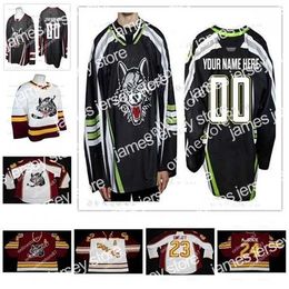 College Wears Thr 40men Chicago Woes Young 23 Bill Sweatt 20 Darren Haydar 24 Derek Kenzie Hockey Jersey Ed Customized Any Name Numbe Custo