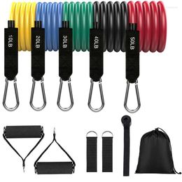 Resistance Bands 11 Pcs/set Fitness Tube Band Yoga Gym Stretch Pull Rope Exercise Training Expander Door Anchor Strap Rubber