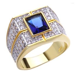 Cluster Rings Blue Stone Ring For Men Gold Color Cubic Zirconia Casual Fashion Finger Jewelry Gift