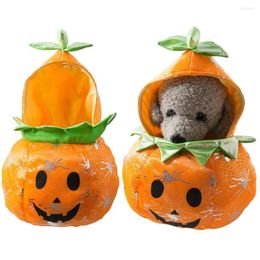 Dog Apparel Halloween Funny Pumpkin Pet Costumes Dress Up Clothes Dogs Cat Winter Coat For Small Cats Outfit