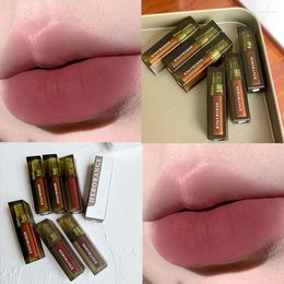 Lip Gloss Brown Liquid Lipstick Matte Cosmetic Glaze Long Lasting Tint Waterproof 6 Colour Non-stick Cup Lipgloss Makeup