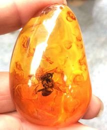 Pendant Necklaces Certificate Natural Mexican Amber Beeswax 42 64 17mm