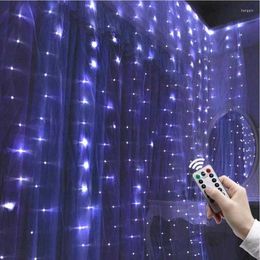 Strings Remote Control Light String 3x3m USB 300LED Chips Curtain With For Home Party Decoration