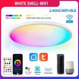 Smart WIFI LED Round Ceiling Light RGBCW Dimmable Temperature Adjustable Bedroom Ceiling Kitchen Bathroom Lighting