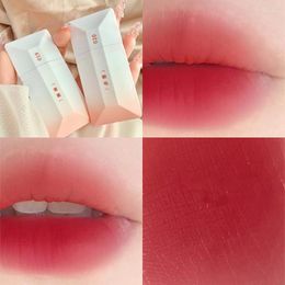 Lip Gloss 4 Colours Girl's Velvet Matte Lipstick Blush Waterproof Long Lasting Sexy Lipgloss Non-Stick Cup Makeup Tint Cosmetic