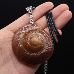 Pendant Necklaces Natural Shell Conch Long Rope Chains Round Charms For Women Jewellery 55X50mm 1PC
