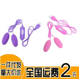 sex toy massager USB egg skipping women's vibrating double single masturbator adult products direct sale