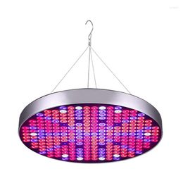 Grow Lights Plant Lamp Full Spectrum LED Light 50 W 250 Leds For Indoor Garden Greenhouse EU Plug