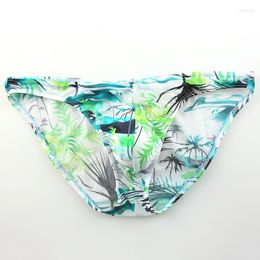 Underpants Male's Briefs Beach Coconut Tree Print Mesh Underwear Male Intimates Breathable Low Waist Comfortable Soft