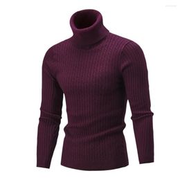 Men's T Shirts Solid Colour Long Sleeve Knitted Sweater All-matched Turtleneck Twist Men Pullover For Daily